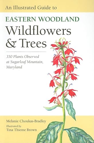 An Illustrated Guide to Eastern Woodland Wildflowers and Trees: 350 Plants Observed at Sugarloaf Mountain, Maryland (Center Books)