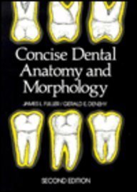 Concise Dental Anatomy and Morphology
