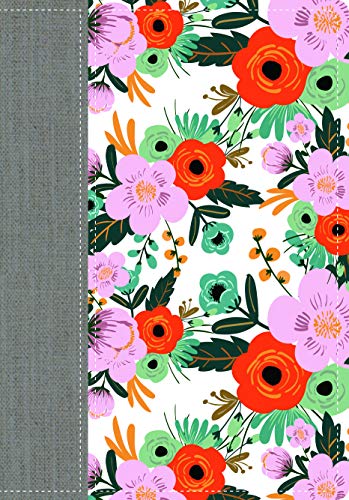 A Woman After God's Own Heart Bible