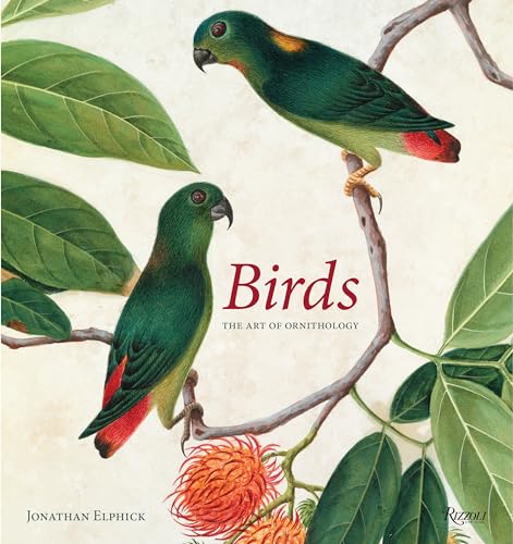 Birds: The Art of Ornithology (Rizzoli Classics)