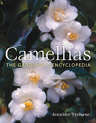 Camellias: The Gardener's Encyclopedia