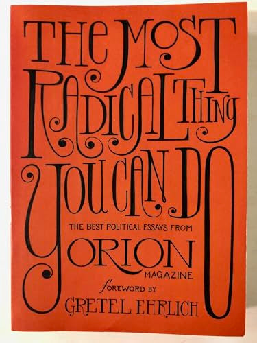 The Most Radical Thing You Can Do The Best Political Essays From Orion Magazine