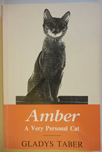 Amber, a Very Personal Cat