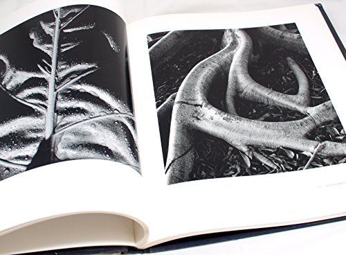 Brett Weston, a Personal Selection