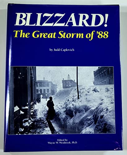 Blizzard: The Great Storm of 88
