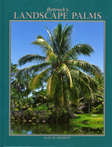 Betrock's Landscape Palms