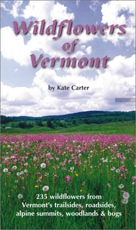 Wildflowers of Vermont