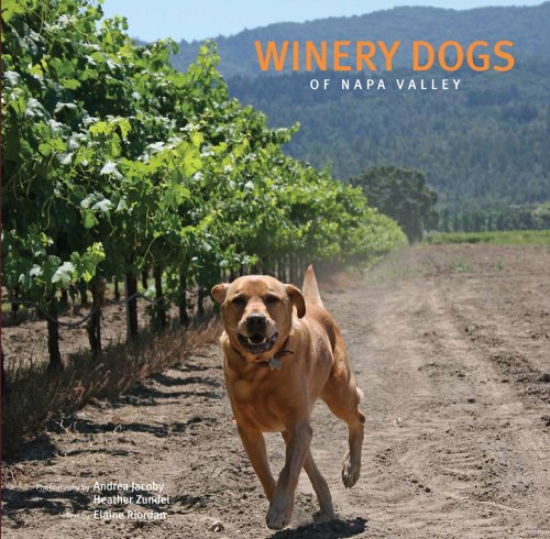 Winery Dogs of Napa Valley