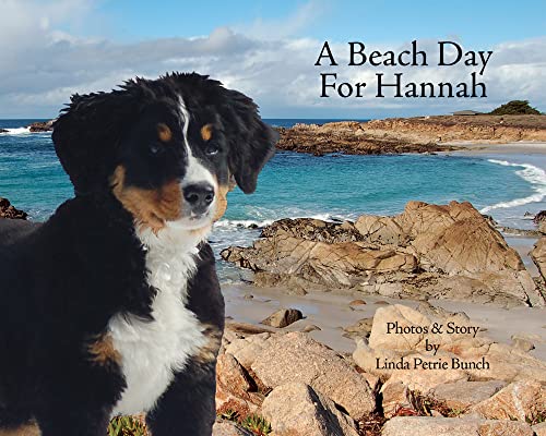 A Beach Day for Hannah (Mountain Dog Books)