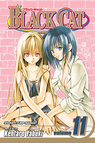 Black Cat, Vol. 11: The Promise