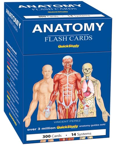 Anatomy Flash Cards: a QuickStudy Reference Tool