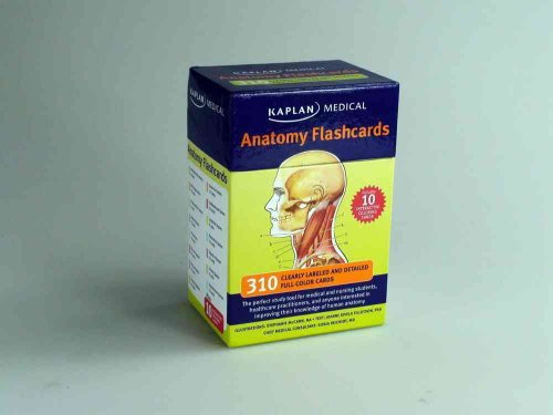 Anatomy Flashcards