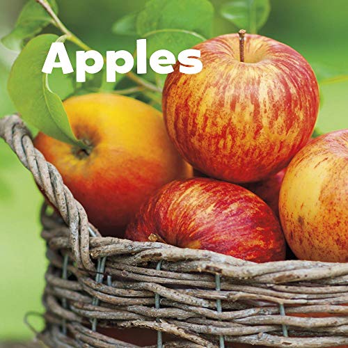 Apples (Little Pebble: Celebrate Fall)