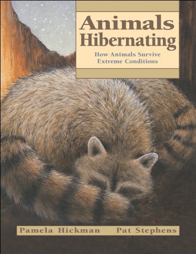 Animals Hibernating: How Animals Survive Extreme Conditions (Animal Behavior)