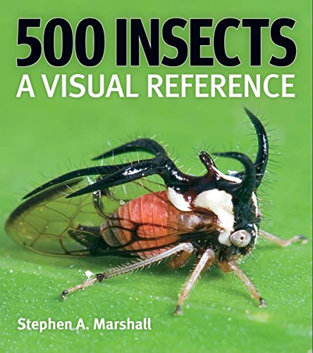 500 Insects: A Visual Reference (Firefly Visual Reference)