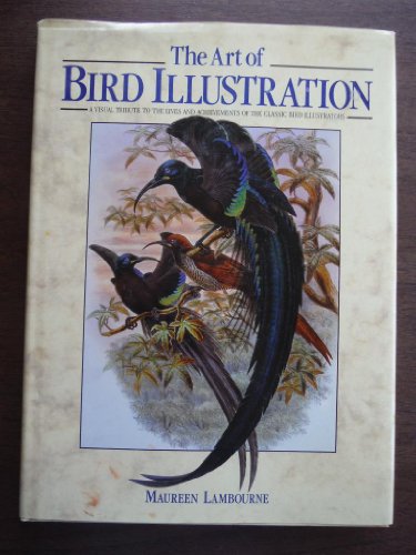 The Art of Bird Illustration