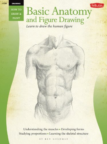 Beginner's Guide: Basic Anatomy and Figure Drawing (HT289) (How to Draw & Paint)