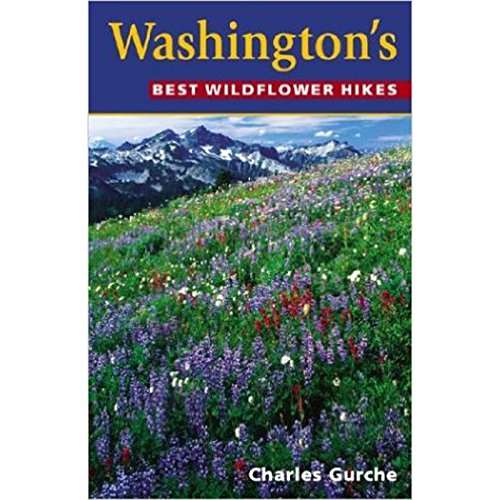 Washington's Best Wildflower Hikes