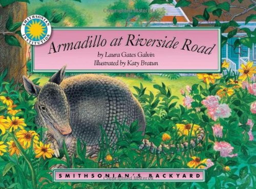 Armadillo at Riverside Road (Smithsonian Backyard)