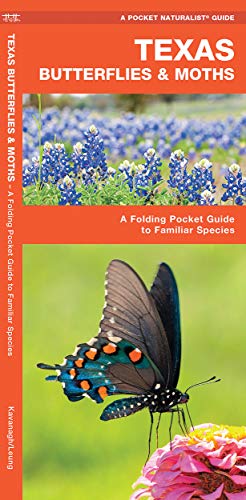 Texas Butterflies & Moths: A Folding Pocket Guide to Familiar Species (A Pocket Naturalist Guide)