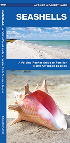 Seashells: A Folding Pocket Guide to Familiar North American Species (A Pocket Naturalist Guide)