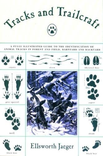 Traver on Fishing: A Treasury of Robert Traver's Finest Stories and Essays About Fishing for Trout