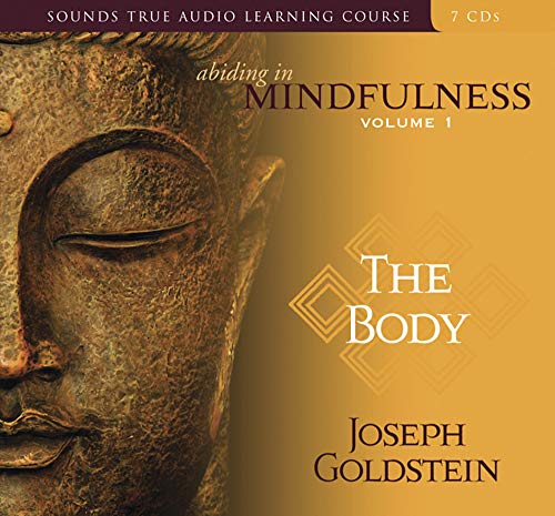 Abiding in Mindfulness