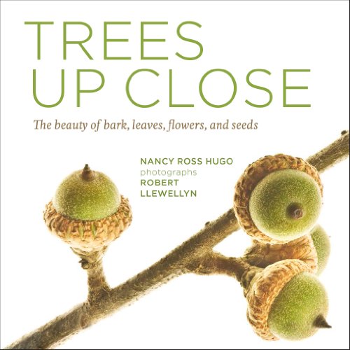 Trees Up Close: The beauty of bark, leaves, flowers, and seeds