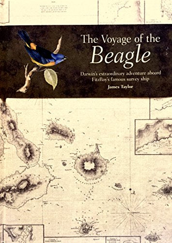The Voyage of the Beagle: Darwin's Extraordinary Adventure in Fitzroy's Famous Survey Ship