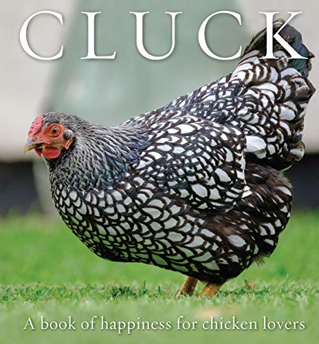 Cluck: A Book of Happiness for Chicken Lovers (Animal Happiness)