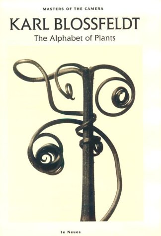 Karl Blossfeldt: The Alphabet of Plants