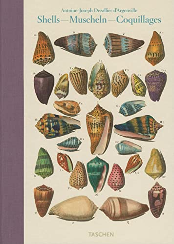 Shells / Muscheln / Coquillages: Conchology, or The Natural History of Sea, Freshwater, Terrestrial and Fossil Shells