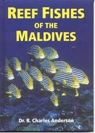 Reef Fishes of the Maldives