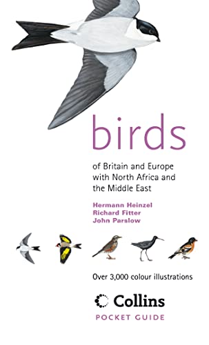 Birds of Britain and Europe with North Africa and the Middle East: Over 3,000 Colour Illustrations (Collins Pocket Guide)