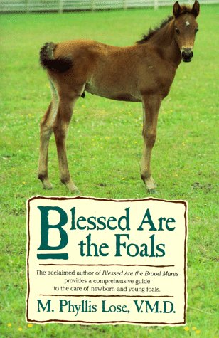 Blessed Are The Foals
