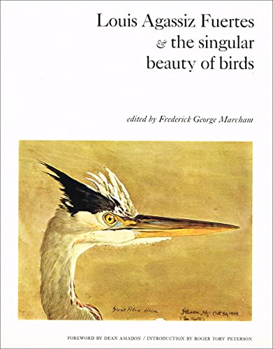 Louis Agassiz Fuertes & the singular beauty of birds: Paintings, drawings, letters