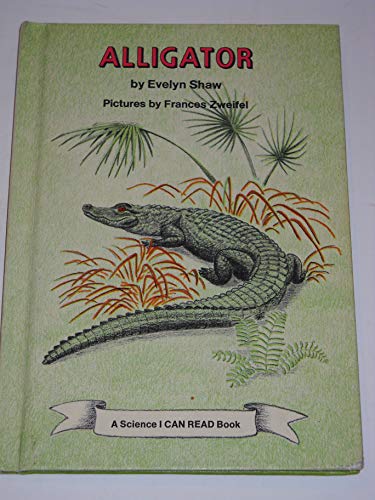 Alligator