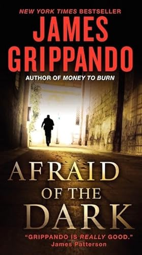 Afraid of the Dark (Jack Swyteck Novel, 9)
