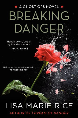 Breaking Danger: A Ghost Ops Novel