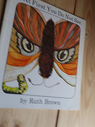 If at First You Do Not See