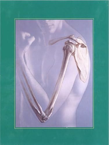 Human Anatomy (3rd Edition)