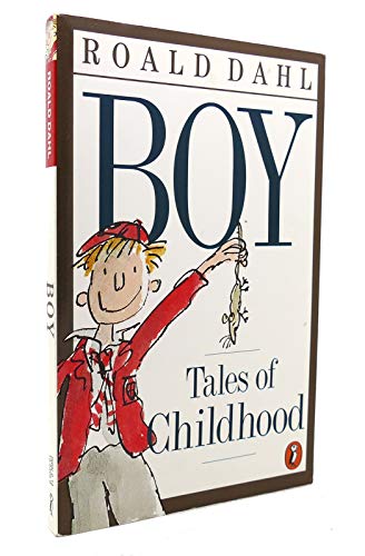 Boy: Tales of Childhood