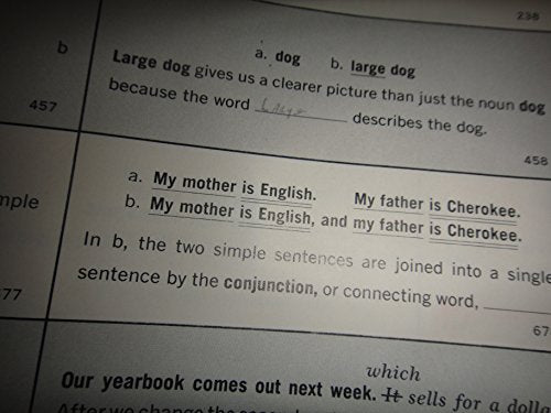 English 2600: A Programmed Course in Grammar and Usage, College Ed.