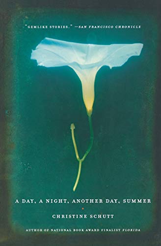 A DAY, A NIGHT, ANOTHER DAY, SUMMER