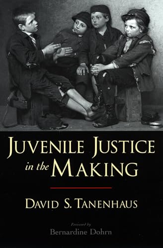 Juvenile Justice in the Making (Studies in Crime and Public Policy)