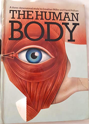 Human Body 3d Study