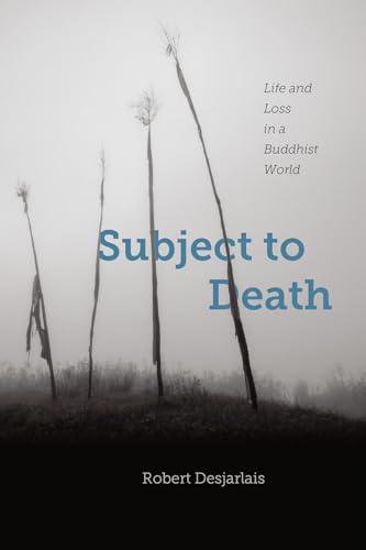 No Image Available