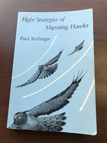 Flight Strategies of Migrating Hawks