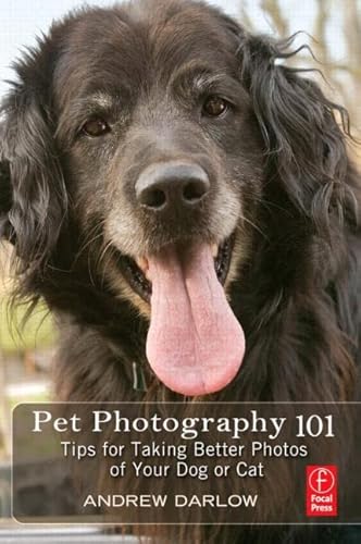 Pet Photography 101: Tips for Taking Better Photos of Your Cat or Dog