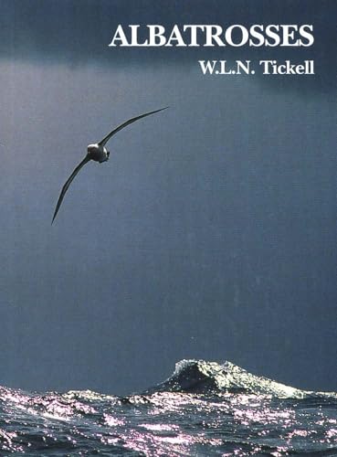 Albatrosses